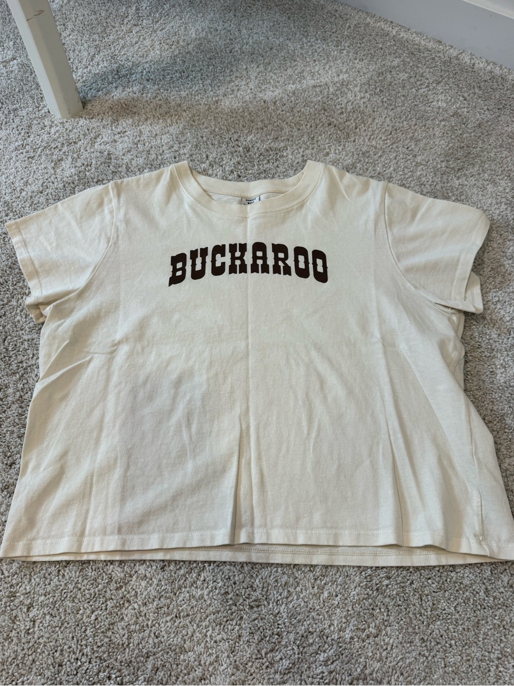 Aritzia “Buckaroo” Tee